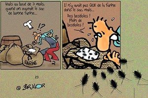 Les Indices pensables: 9- Une philosophie confrontée au réel