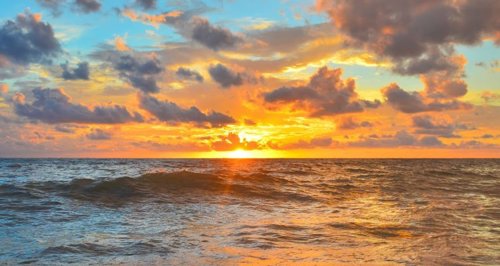 Clarifications sur les arguments pour l’existence de Dieu : 2/3 - Dessein et finalité