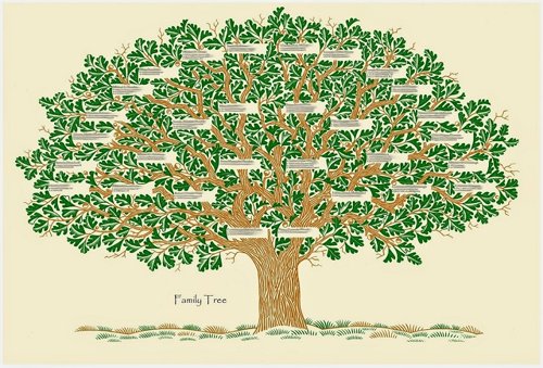 Les différentes généalogies de Jésus-Christ