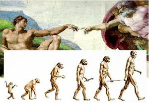Création et Évolution de l’homme